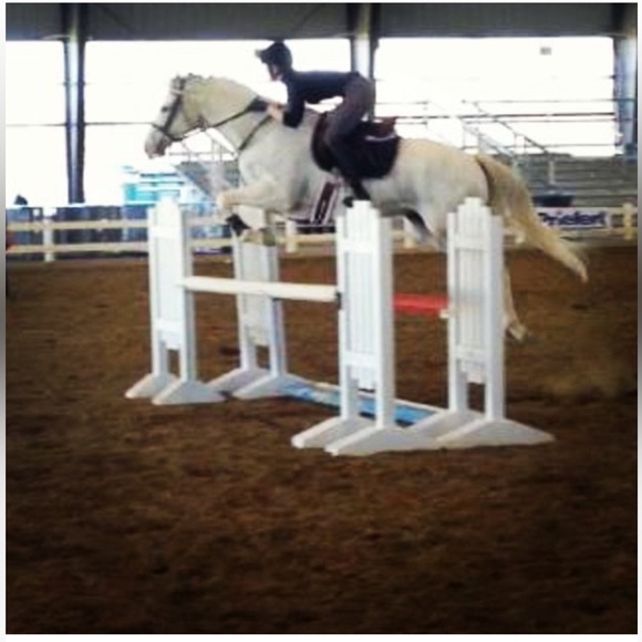 Meet your Posher, Scarlett - Picture 5 of 6